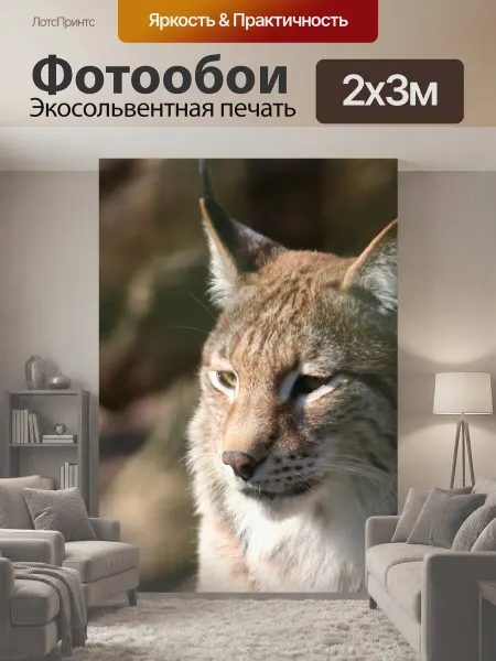 LotsPrints Фотообои "Рысь, фауна, млекопитающее" 2x3м