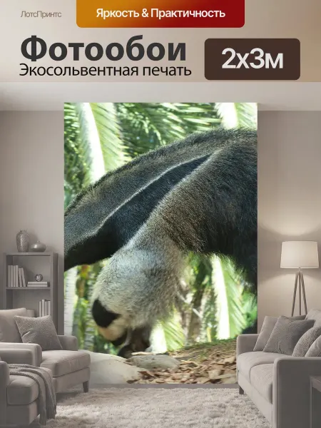 LotsPrints Фотообои "Большой муравьед, животное, myrmecophaga." 2x3м