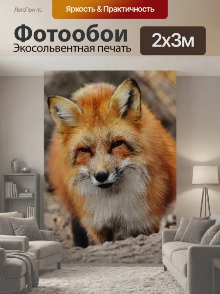 LotsPrints Фотообои "Лиса, wildpark poing, животное" 2x3м