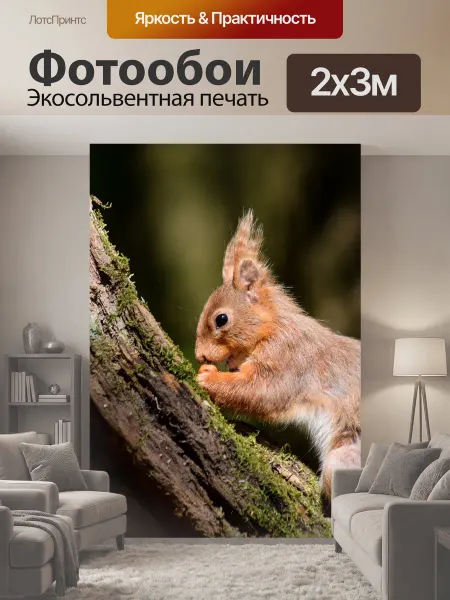 LotsPrints Фотообои "Белка, redsquirrel, дерево" 2x3м