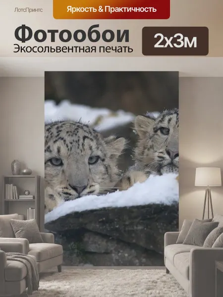 LotsPrints Фотообои "Снежный барс, пантера uncia, зоопарк" 2x3м