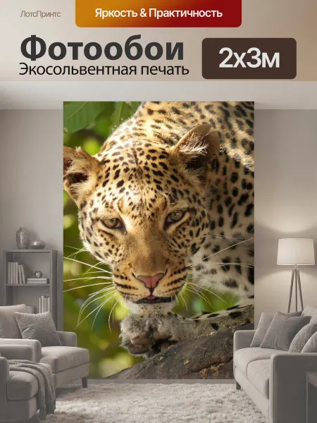 LotsPrints Фотообои "Леопард, сафари, wildier" 2x3м