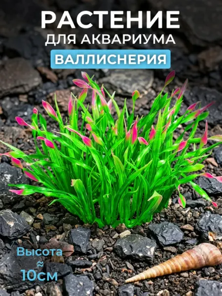 Аквазона Декор для аквариума растение «Валлиснерия»