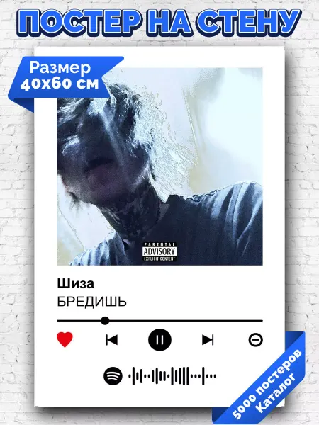 Arthata-spotify постер Спотифай постер Спотифай постер БРЕДИШЬ - Шиза 40х60