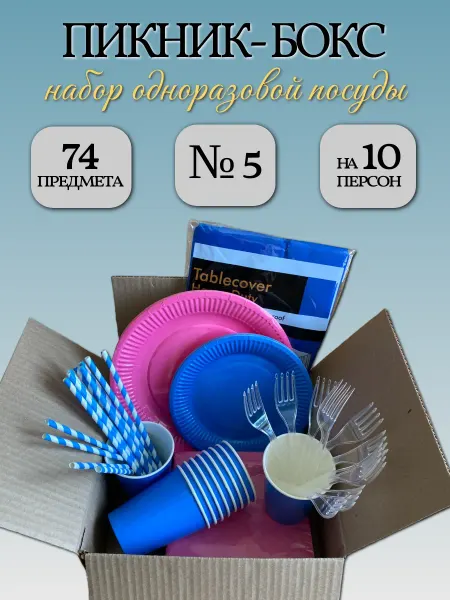Набор одноразовой посуды Пикник-Бокс №5