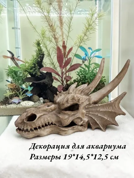 Рыбка Ми Декорация для аквариума голова дракона