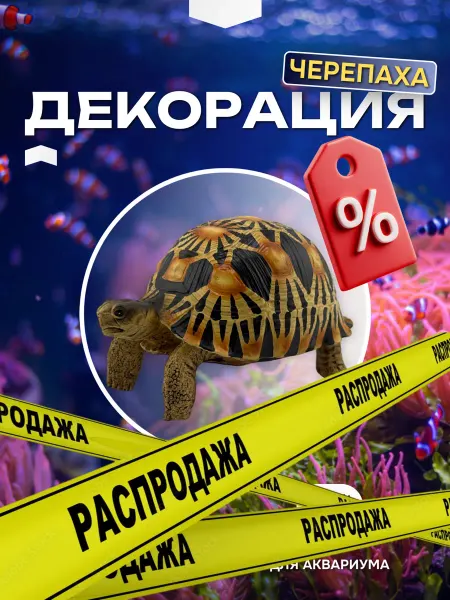 Декорация для аквариума (террариума) "Леопардовая черепаха"
