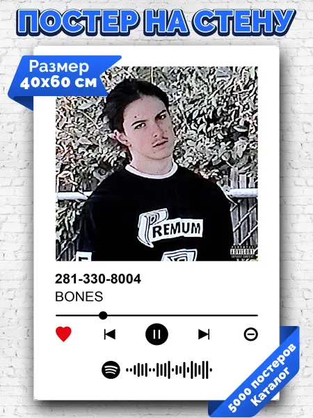 Arthata-spotify постер Спотифай постер Спотифай плакат BONES - 281 330 8004 40х60