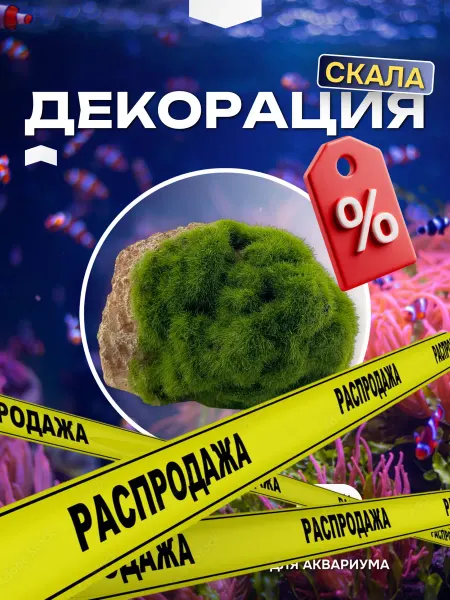Декорация для аквариума (террариума) "Скала на присоске"