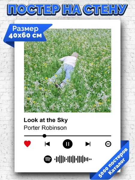 Arthata-spotify постер Спотифай постер Спотифай плакат Porter Robinson - Look at the Sky 40х60