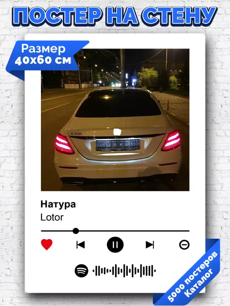 Arthata-spotify постер Спотифай постер Спотифай постер Lotor - Натура 40х60