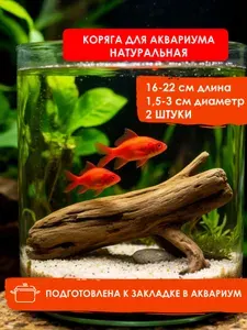 Коряга для аквариума натуральная средняя округлая 16-22 см, 2 шт.