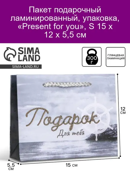 Доступные Радости Пакет подарочный "Present for you" 15х12х5,5 см