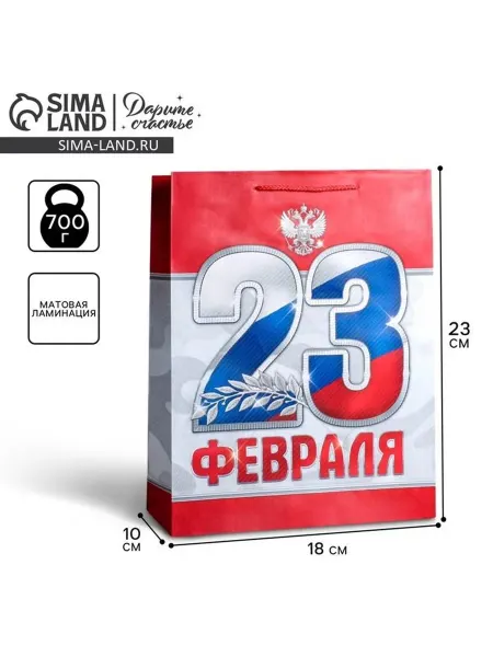 Пакет подарочный ламинированный упаковка «23 февраля!» MS 18