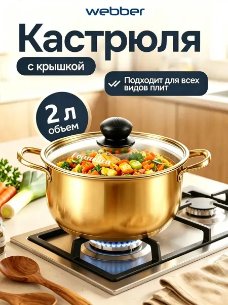Кастрюля 2 л из нержавеющей стали для индукционных плит