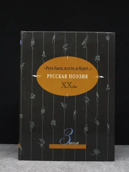 Издательство Синергия Русская поэзия. XX век. Том 3