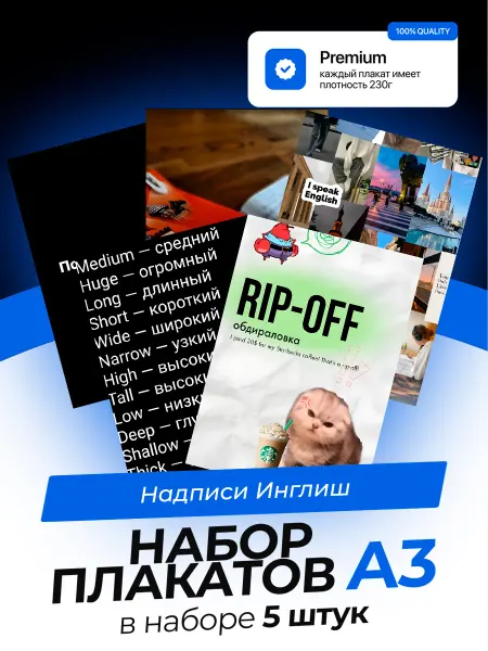 KONNESSI Постеры Надписи на английском. 5 штук. А3