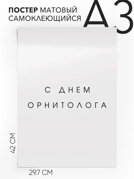 Плакат с надписью на стену - праздничный С днем орнитолога