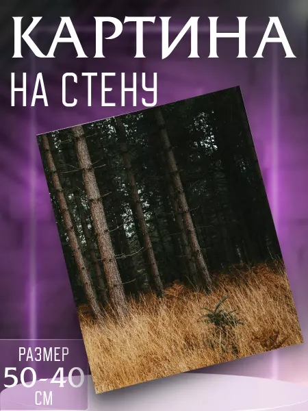 Интерьерные картины на холсте Картина на стену Лес
