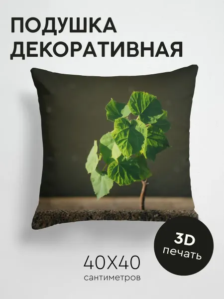 365home Подушка декоративная, 40x40см Макро росток листья