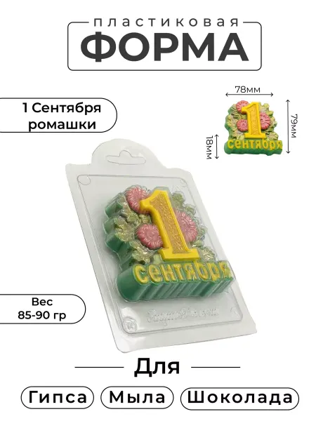 AnyMolds Пластиковая форма для мыла и шоколада 1 сентября ромашки
