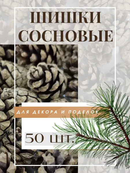 Дом трав Шишки сосновые, 50 шт