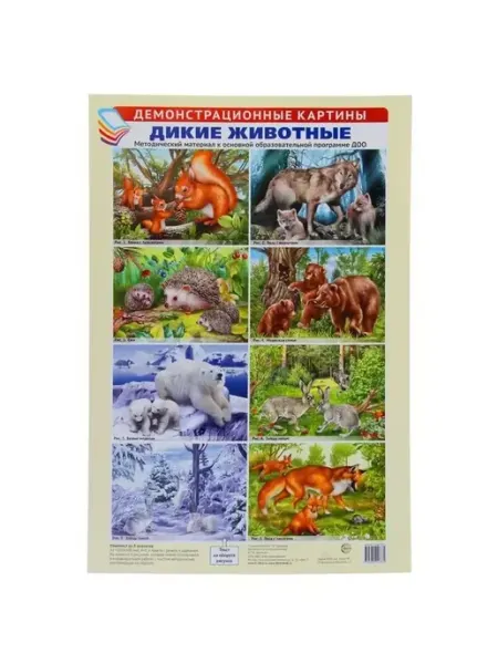 ТЦ СФЕРА Дикие животные. Демонстрационные картины. А3