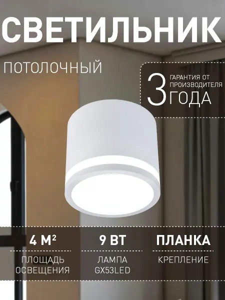 FAVOURITE Накладной потолочный светильник спот 4213-1C GX53LED