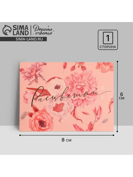 Yamle Открытка мини Расцветай 8x6 см, 20 шт