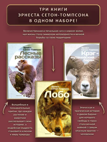 Амфора 3 кн Сетона-Томпсона Лесные рассказы+Лобо+Крэг-кутенейский