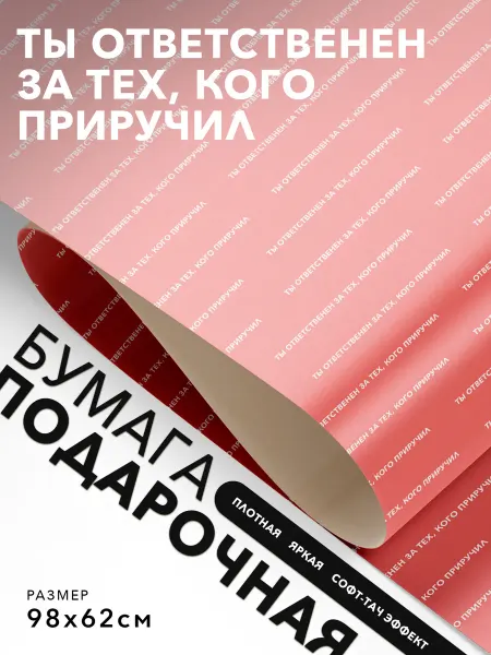 JOYOI Подарочная упаковка Ты ответственен за тех, кого приручил