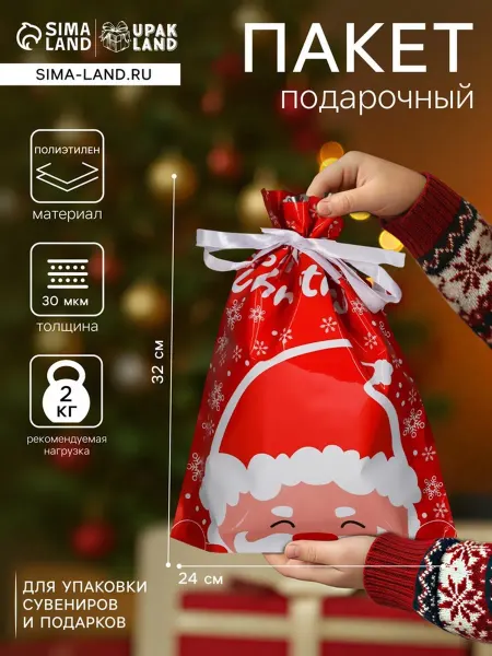 Нет бренда Подарочный пакет новогодний с завязками Дед Мороз, 5 шт