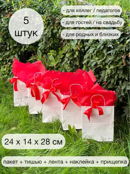 Дон Картон Подарочные пакеты бумажные набор