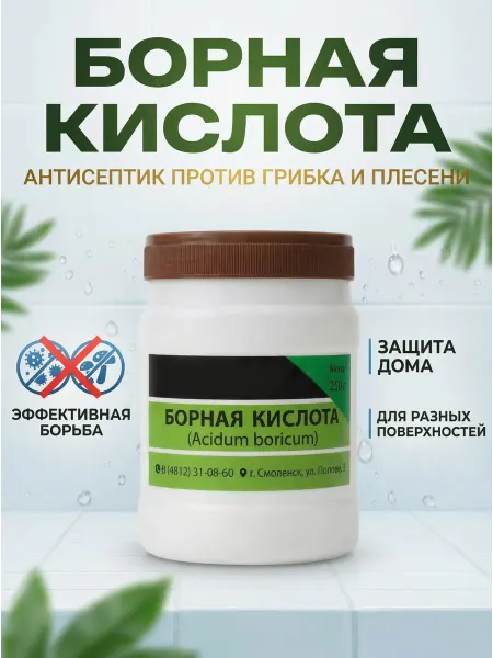 Антиплесень Антисептик для поверхностей, 250гр