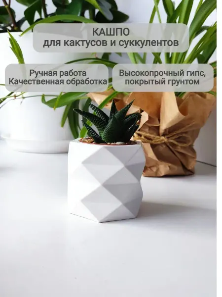 Eco Thing Кашпо для суккулентов для кактуса маленькое