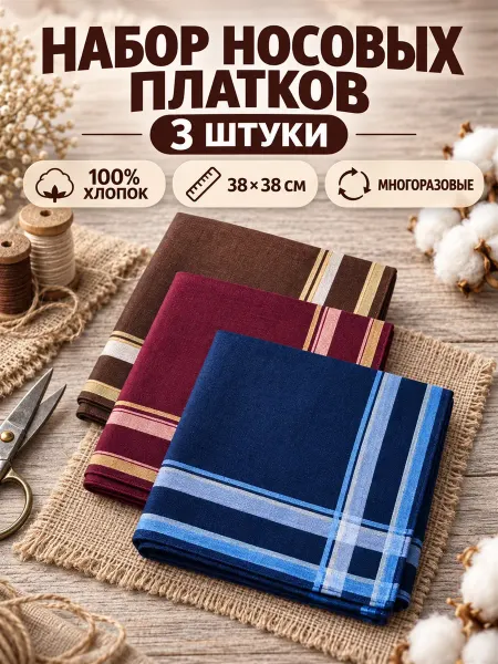 Платки носовые мужские/ носовые платки Набор платков 3 предмета 38х38 см