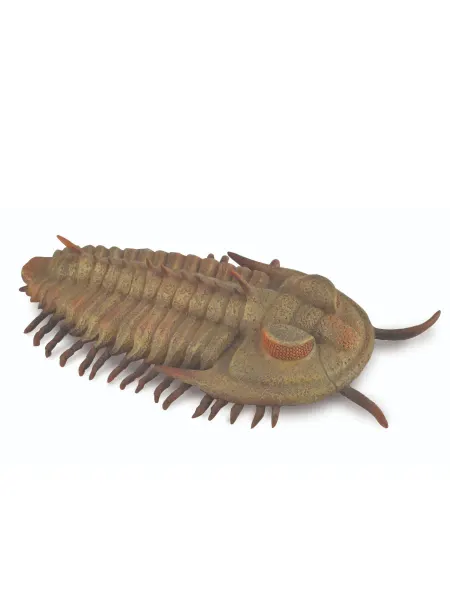 Collecta Фигурка игрушка морского животного Трилобит