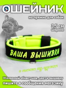 Ошейник для собак Buddy Team на пряжке, индивидуальный пошив, с мягким подкладом для средних и крупных пород, 3,5 см