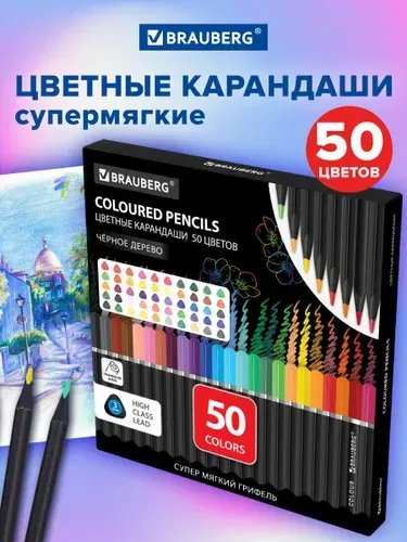 Карандаши цветные мягкие художественные для рисования детям в школу, набор 50 цветов, грифель 3 мм, черное дерево, Brauberg Black Wood