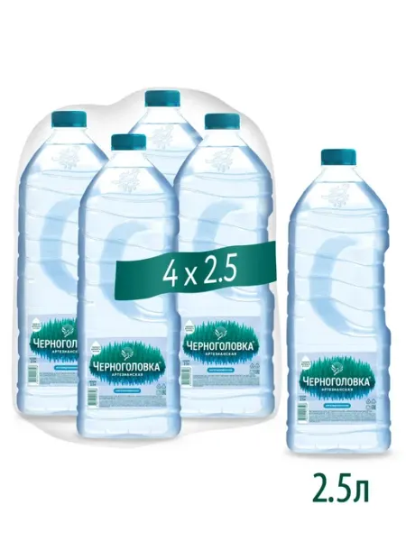 Черноголовка Вода артезианская негазированная, 2,5 л * 4 шт