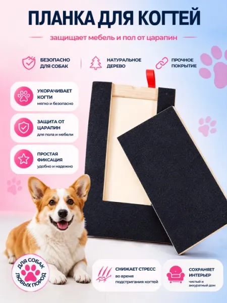 Когтеточка для собак с отсеком для лакомств, стачивание когтей, 30×24×3 см