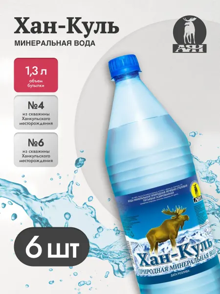 АЯН Хан-Куль вода минеральная с магнием, газированная 1300мл*6шт
