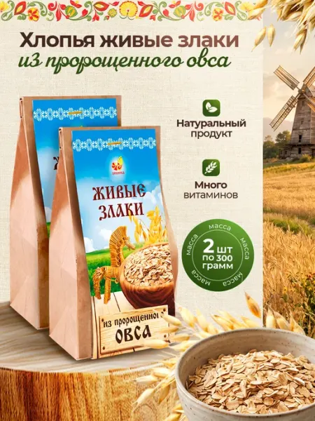 Дивинка Хлопья Живые злаки из пророщенного овса 2 шт по 300 гр