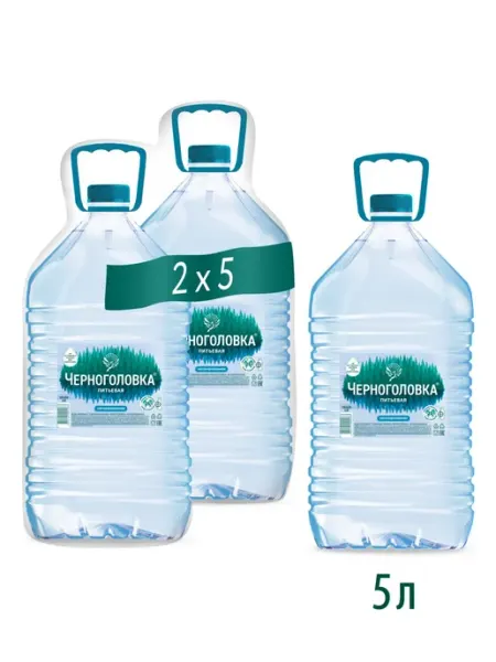 Черноголовка Вода питьевая негазированная, 5 л * 2 шт