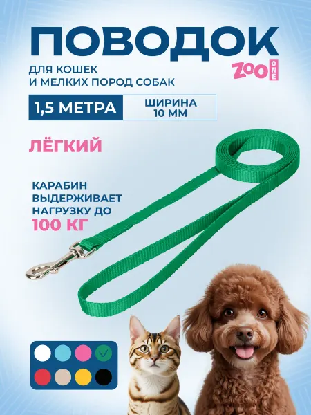 ZOOONE Поводок с карабином лента 10 мм*1,5 м (зелёный) 73-0925