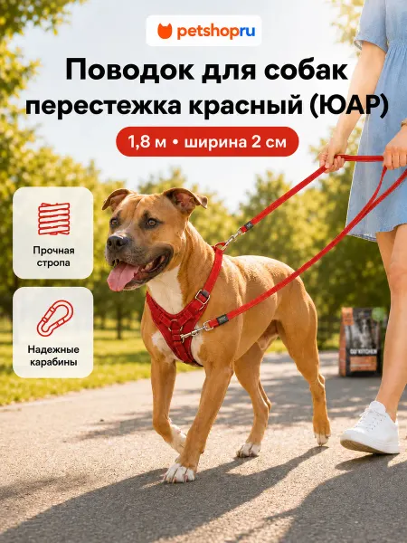 Rogz Поводок перестежка для собак, L, 1,6 м 2 см