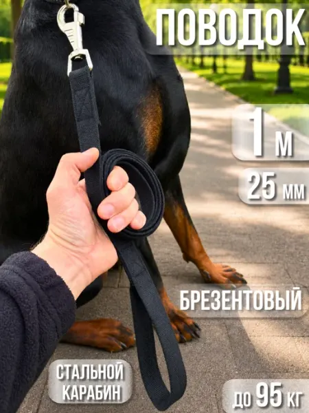 Dog's Paradise Поводок для собак брезентовый 1 м х 25 мм усиленный красный