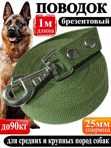 FantastPETS Поводок для собак брезентовый 1 м х 25 мм зелёный