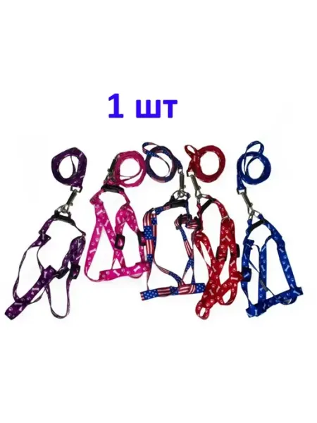 PetFashion Шлейка и поводок для собак эконом 1,5 см