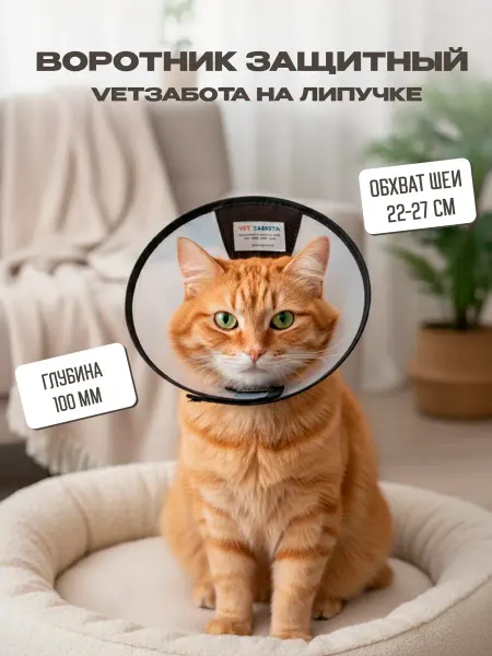 Vetзабота Воротник защитный для собак и кошек на липучке № 10